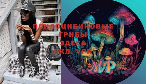 шишки Осинники