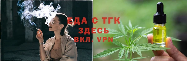шишки Осинники