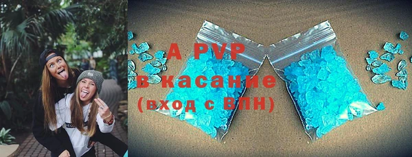 шишки Осинники