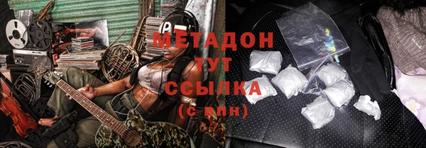 шишки Осинники