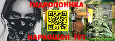 a pvp Заводоуковск