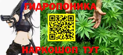 прущие грибы Гусиноозёрск