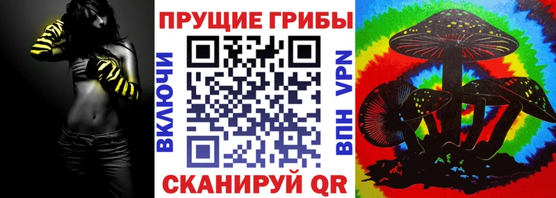 Галлюциногенные грибы прущие грибы  kraken зеркало  Свободный  что такое  