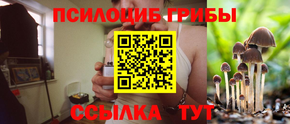 Галлюциногенные грибы GOLDEN TEACHER Свободный