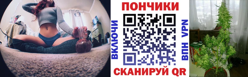 Бошки Шишки тримм  darknet какой сайт  Свободный 